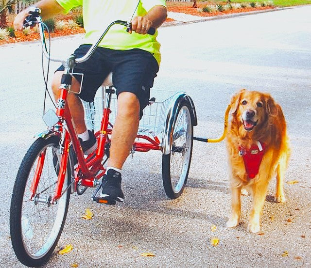 Trike Leashes Collection