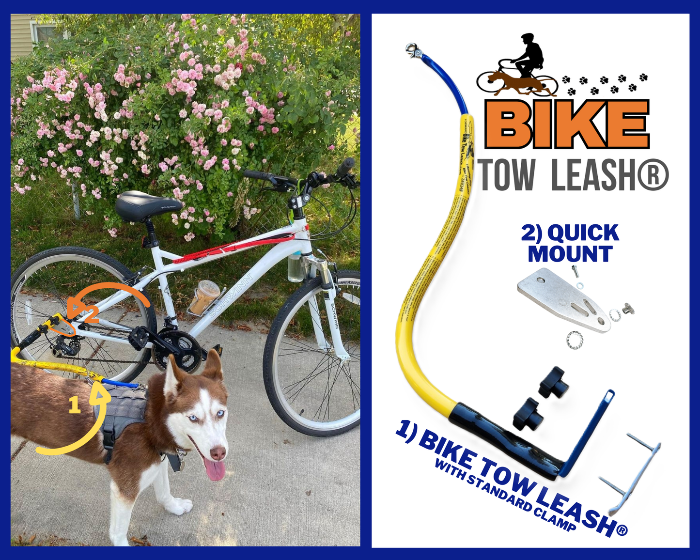 Two images: one of a dog using a BTL Quick Mount, and the other showing details of the BTL Quick Mount.