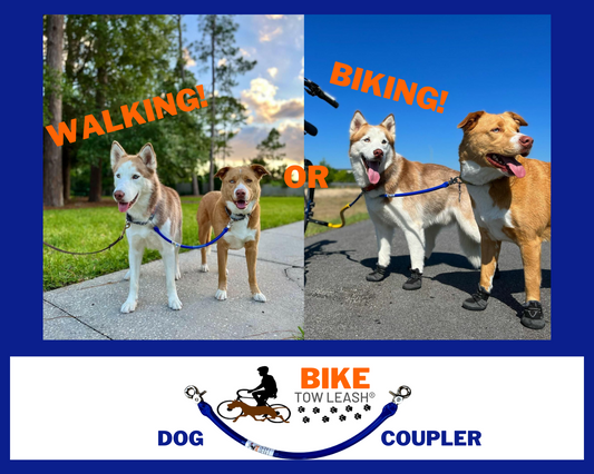 Dog Coupler for Biking and Walking