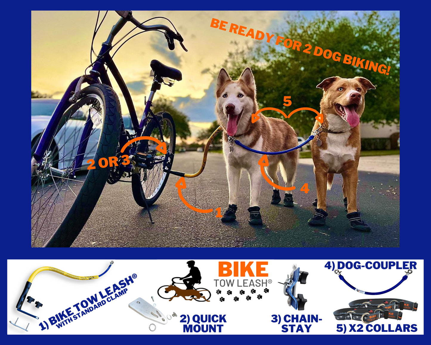 Two dogs using a Double Dog Leash Attachment
