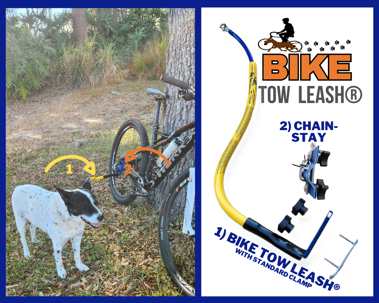Dog using a BTL Chain Stay Clamp Package next to a bike.