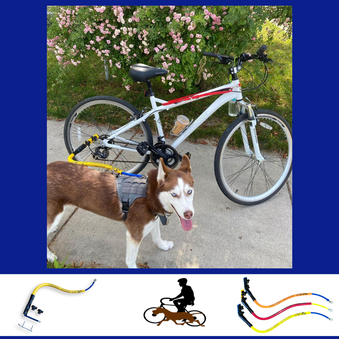 Bike attachment for orders dog