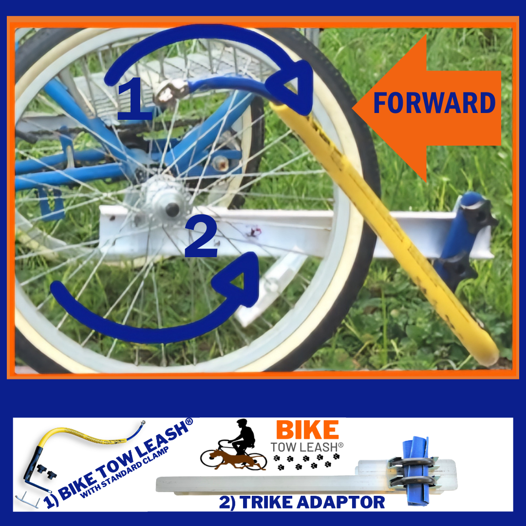 a close-up of the tike adapter on the Trike with the Bike Tow Leash attached properly with clip facing forward