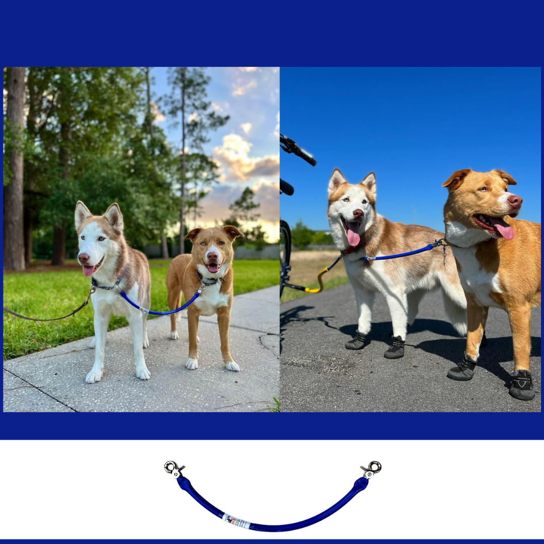 The Official Bike Tow Leash Dog Coupler for Dog Biking and Walking