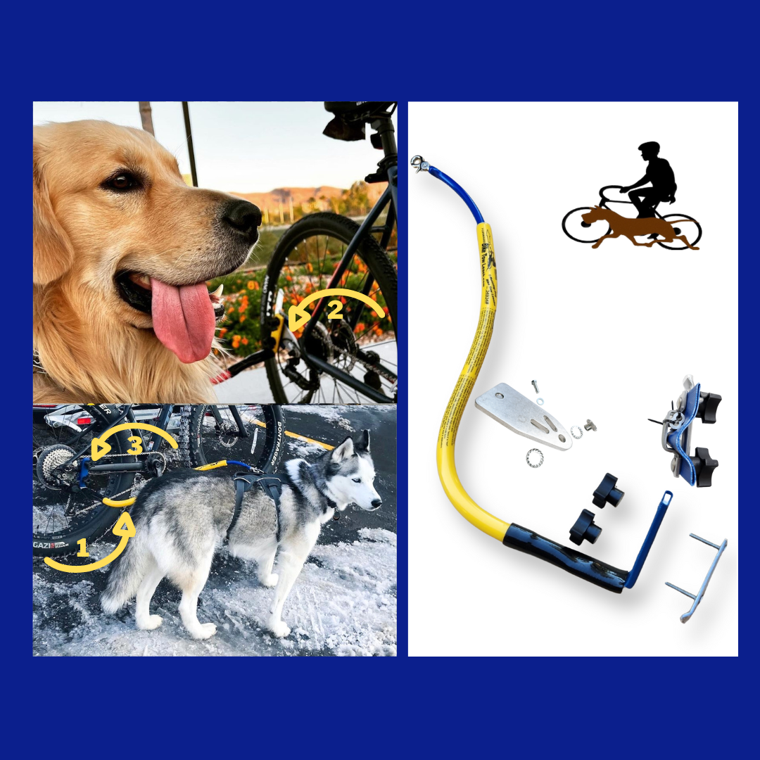 On the the upper left is a happy golden attached to a red leash on a bike via Quick Mount. On the Bottom Left is a focused husky on a yellow leash that is attached via a chain stay clamp. The image on the right is of a yellow leash with standard clamp, a quick mount , a chainstay clamp, and the bike tow leash logo of a bikerider with a dog running beside them.