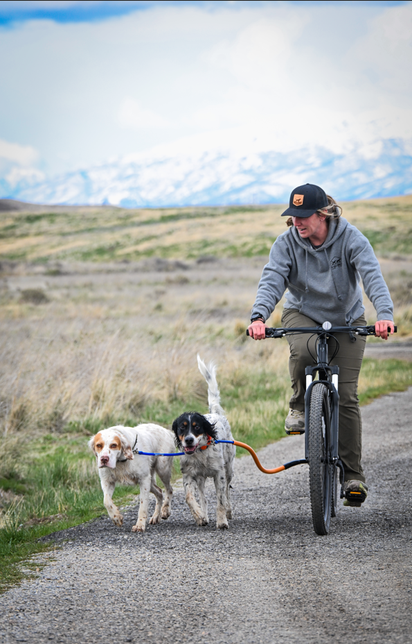 Dog Coupler for Biking and Walking
