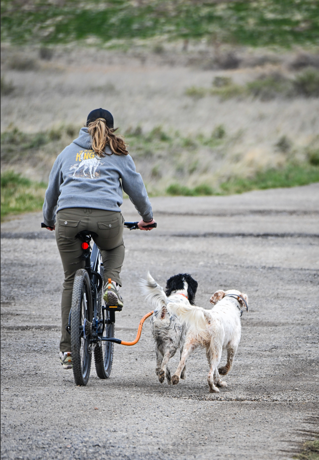 Dog Coupler for Biking and Walking