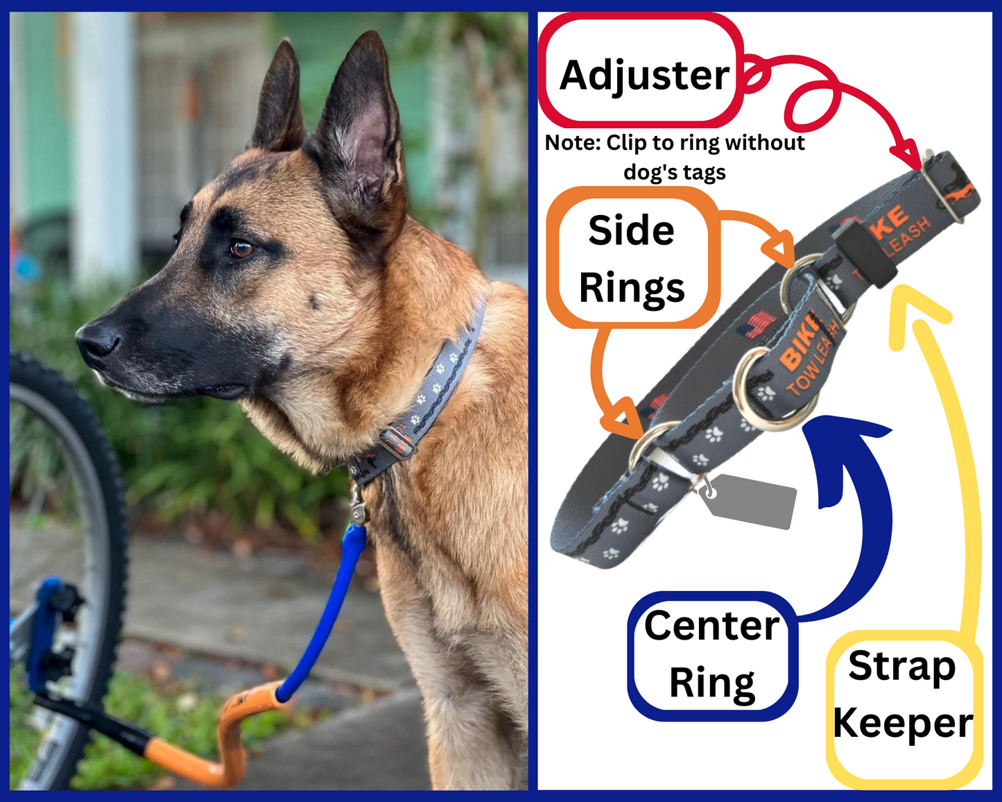 A dog on the Left wearing the Bike Tow Leash Collar clipped to the BTL & a diagram on the right