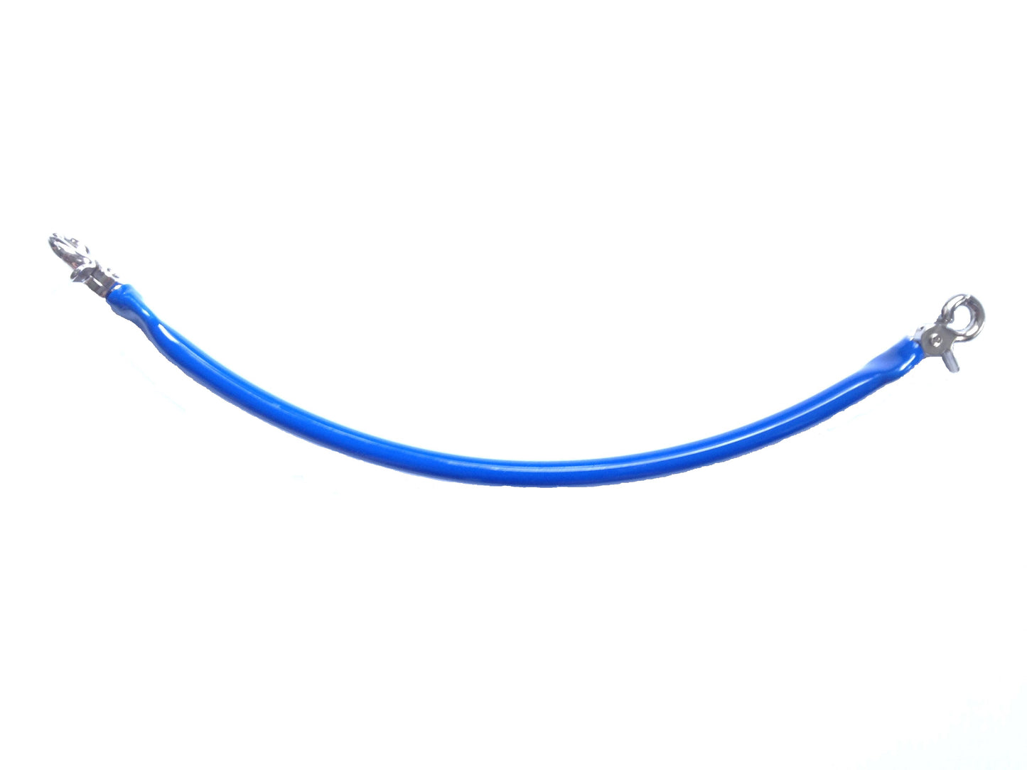 A Dog Coupler it's blue curved flexible springy cord with 2 lobster clips for safely attaching 2 dogs together