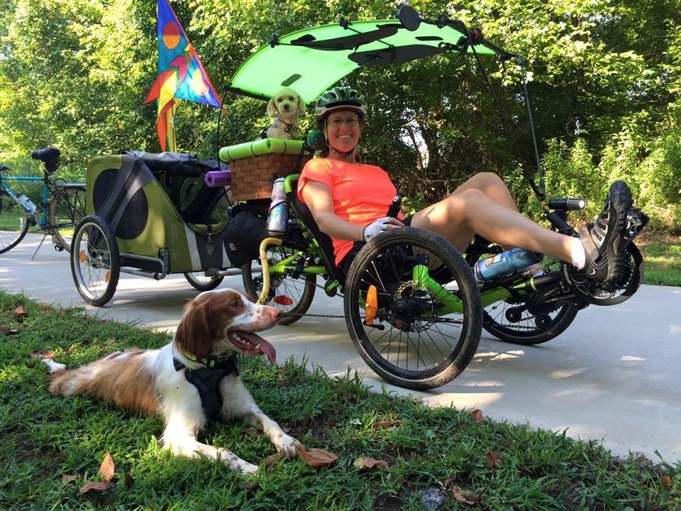 A husky on a ride on a Bike Tow Leash