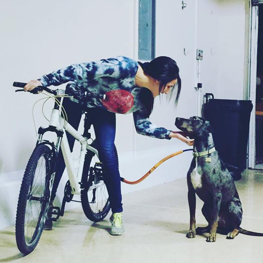 a rider on a white bike, leans over to scratch their dog under the chin while they're attached via a Bike Tow Leash®