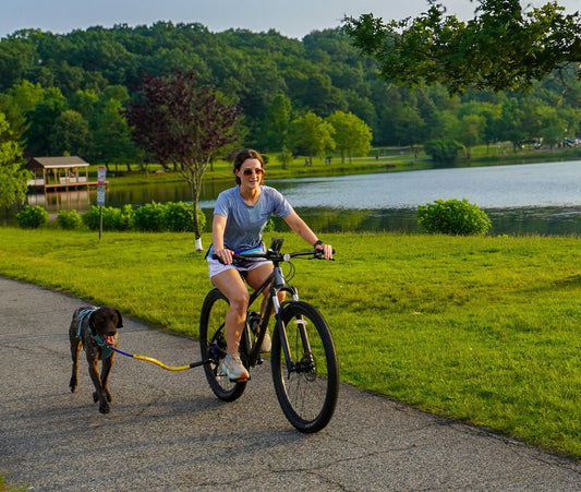 How to Train Your Dog to Run Alongside a Bike: A Step-by-Step Guide for Safe and Fun Rides