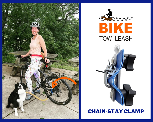 Chain-Stay Clamp for Right or Left Side Attachment
