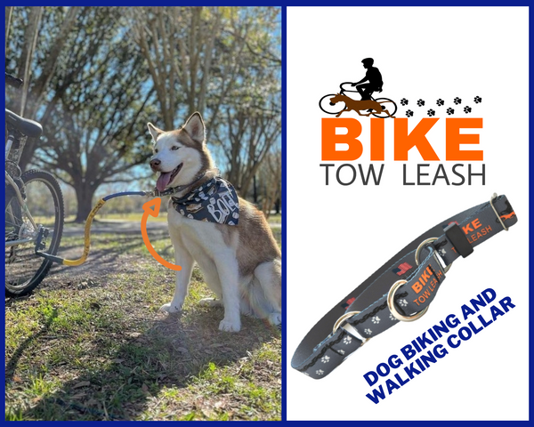 Dog Biking and Walking Collar by Bike Tow Leash