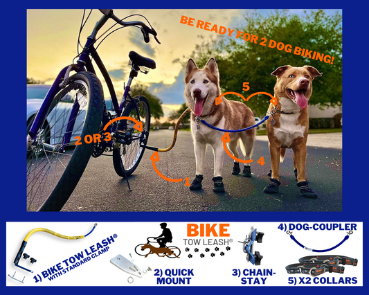 Two dogs using a Double Dog Leash Attachment