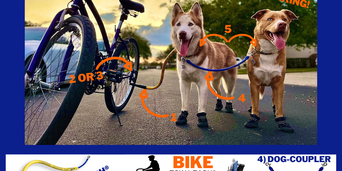 Double Dog Package Bike Tow Leash