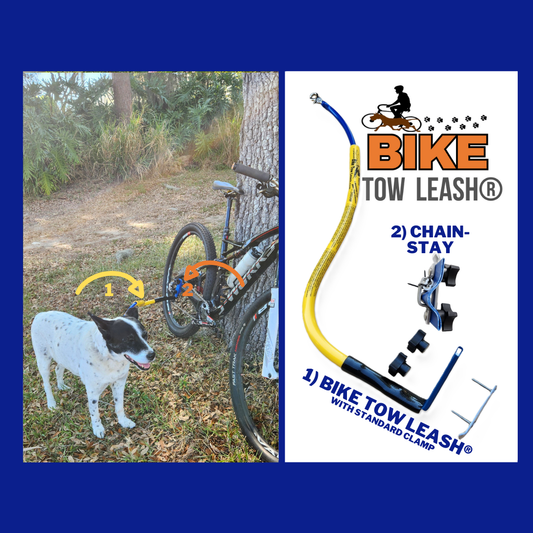 BTL Chain Stay Clamp Package