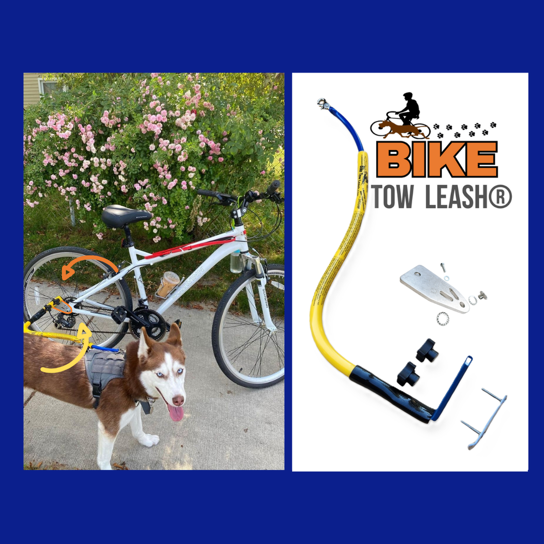 Dog Bike Attachment – Ride with Confidence