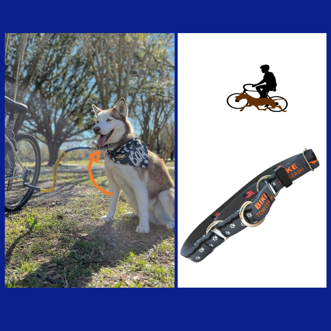 Dog Biking and Walking Collar by Bike Tow Leash