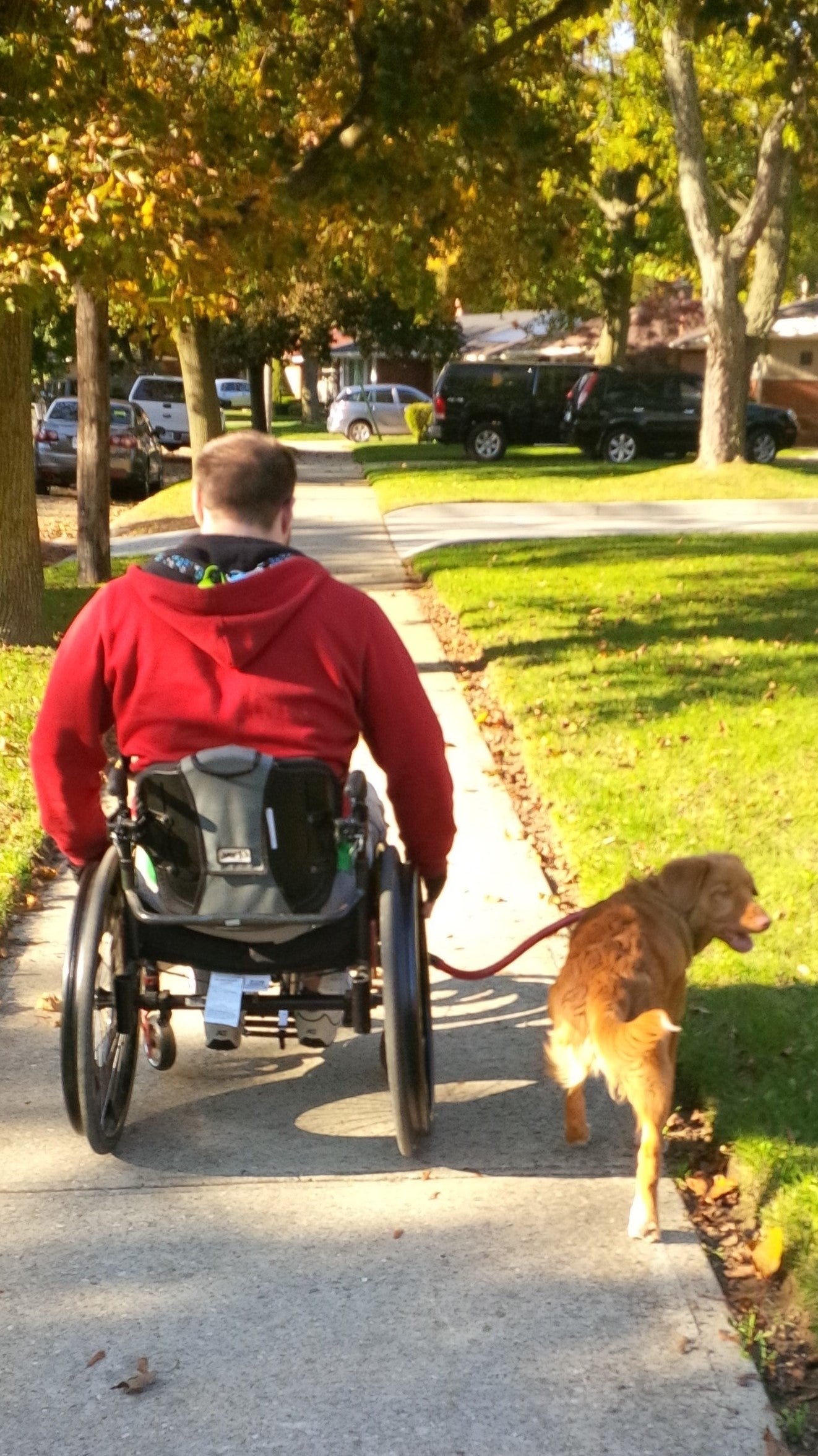 The Bike Tow Leash (For Chairs)