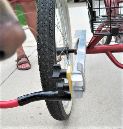 a Trike adaptor® attached to a red adult trike on the left axle with a red Bike Tow Leash® with a brown dog nose photobombing